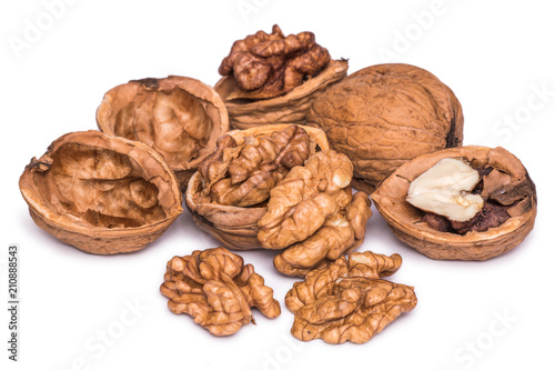 Group of peeled walnut kernels isolated on white background.