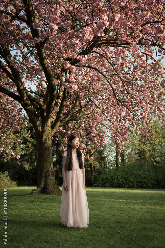 Girl standing under cherry blossoms Girl standing under cherry blossoms