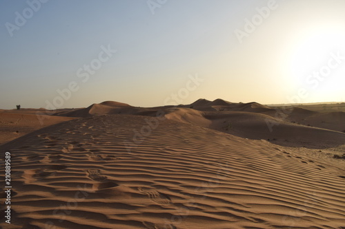 desert dunes © siddhant