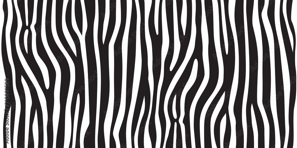 stripe animal jungle texture zebra vector black white print background seamless repeat - obrazy, fototapety, plakaty 
