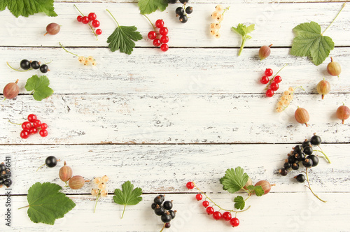 viele verschiedene Johannisbeeren Brett Tisch Rahmen weiße rote schwarze Beeren frisch vom Strauch photo