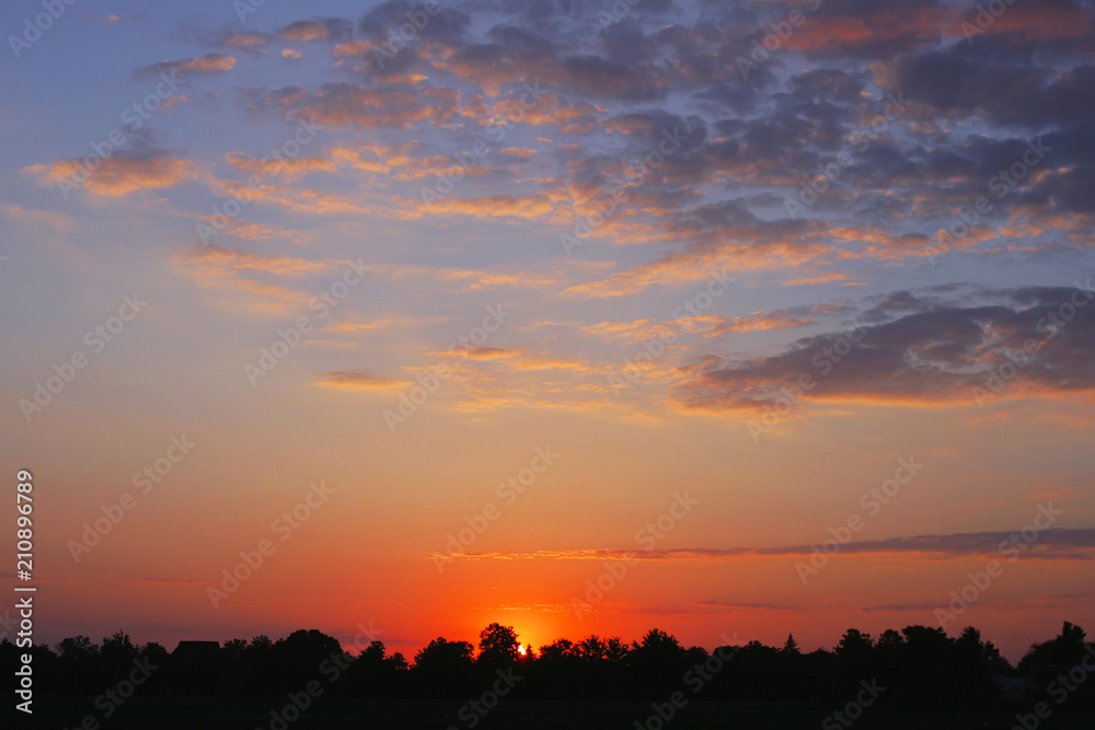 bright evening cloudy sky at sunset. silhouettes of trees.