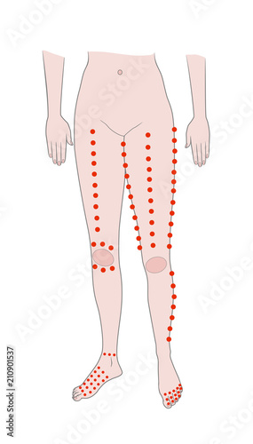 Acupuncture points of feet. Massage of the lower extremities. Vector. Isolated on white background