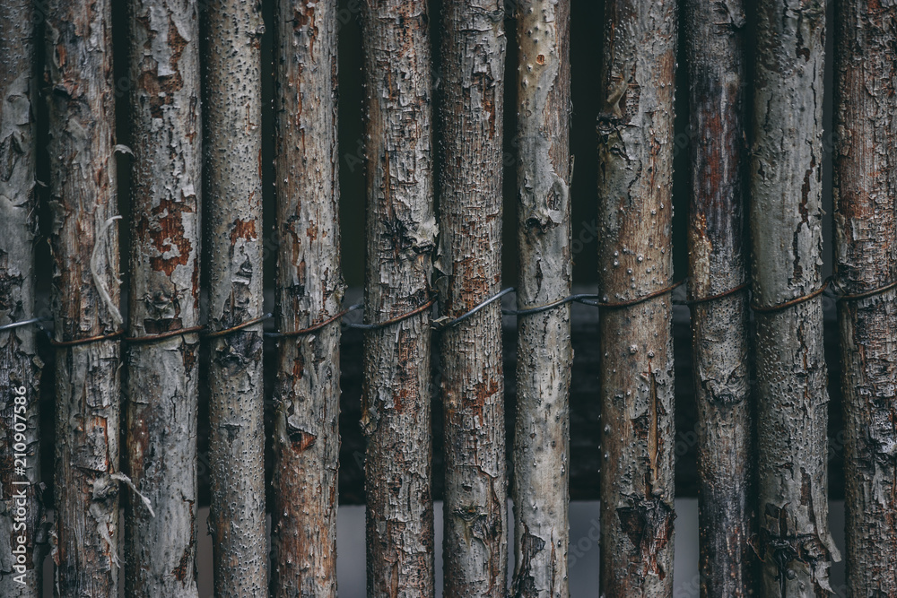 Fototapeta premium tight up wooden sticks