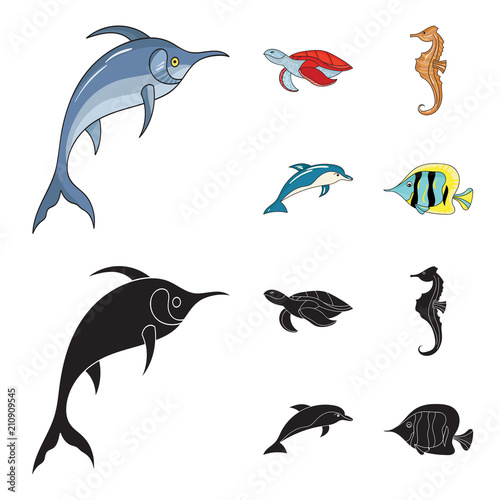 Merlin, turtle and other species.Sea animals set collection icons in cartoon,black style vector symbol stock illustration web.