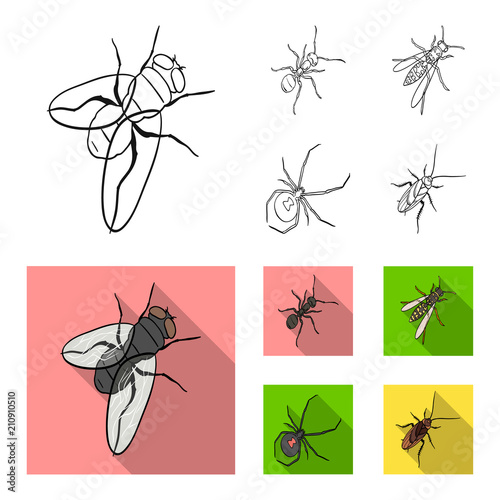 An insect arthropod, an osa, a spider, a cockroach. Insects set collection icons in outline,flat style vector symbol stock isometric illustration web.