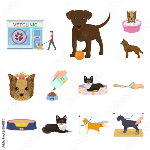 Pet cartoon icons in set collection for design. Care and education vector symbol stock web illustration.