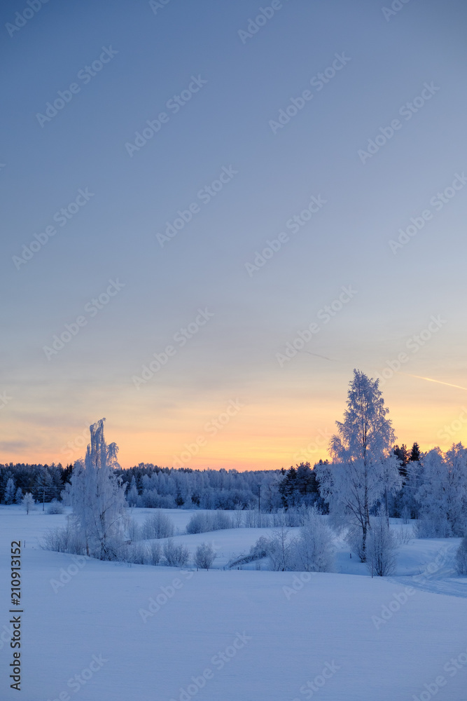 Winter Impressionen in Schweden