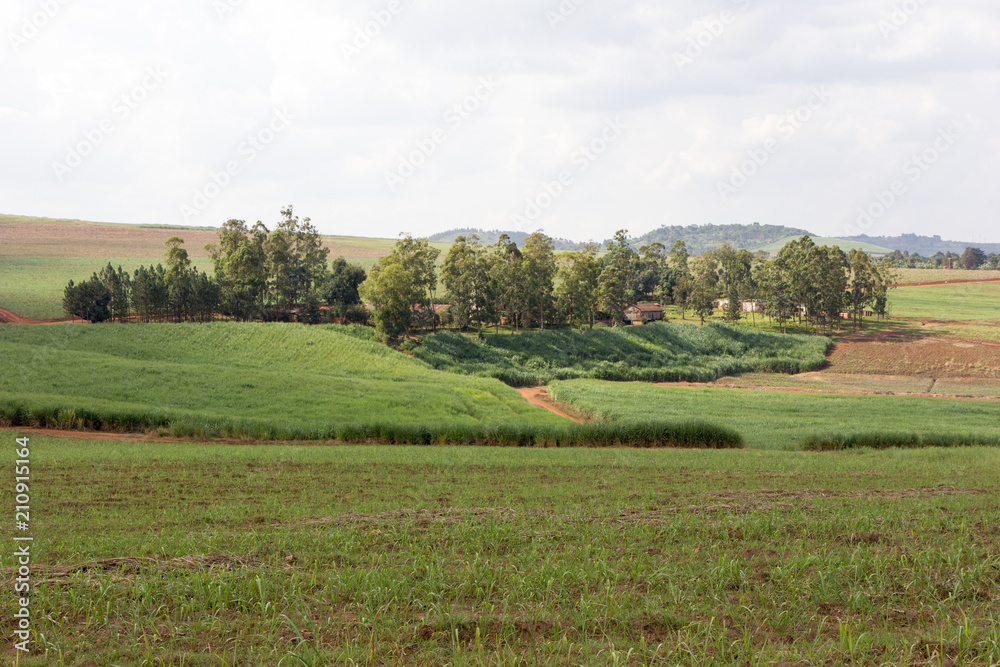 A rural landscape. Shot somewhere off Buikwe, Uganda in June 2017.
