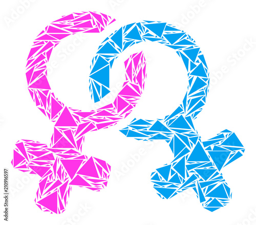 Lesbi symbol collage of triangle elements in different sizes and shapes. Vector triangles are organized into lesbi symbol illustration. Geometric abstract vector illustration.