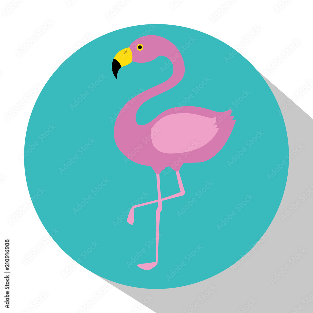 Fototapeta egzotyczny flamingo ptak ikona wektor ilustracja projektu