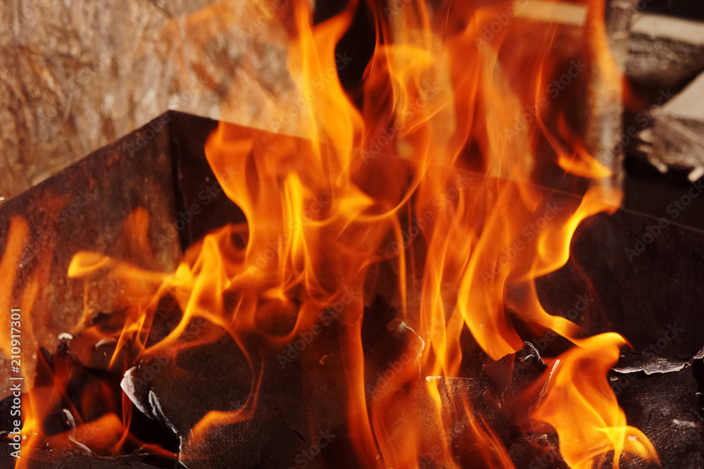 fire brazier on nature bones fry meat vegetables cook fire brazier on nature bones fry meat vegetables cook