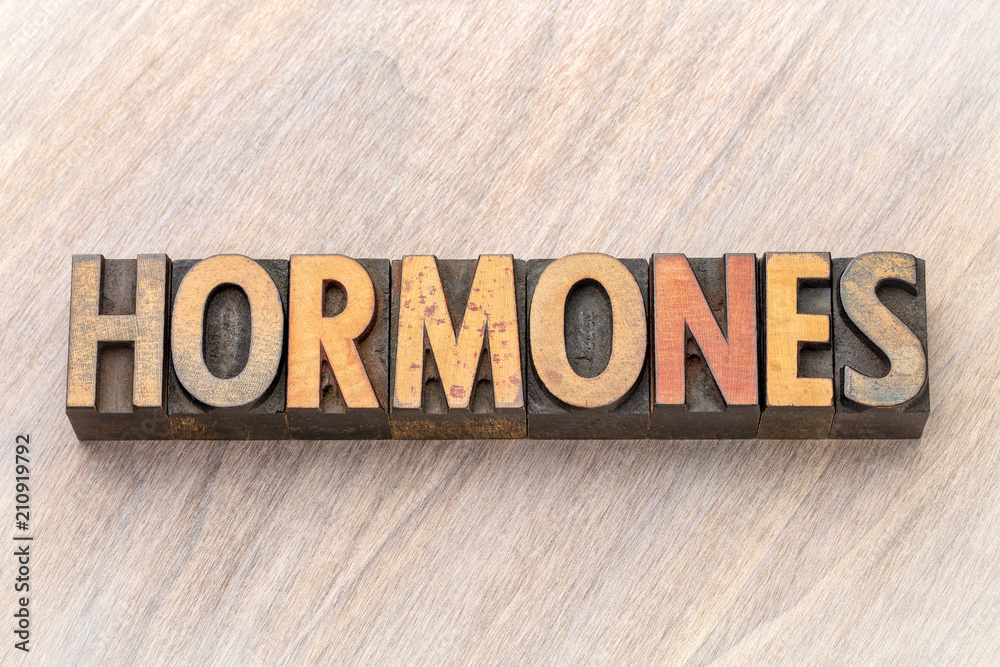 Fototapeta premium hormones word abstract in wood type