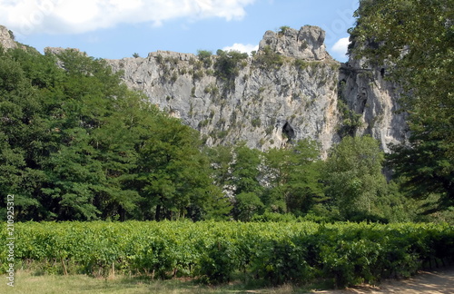 Montagne de l'Ardèche et vignes, Ardèche, France