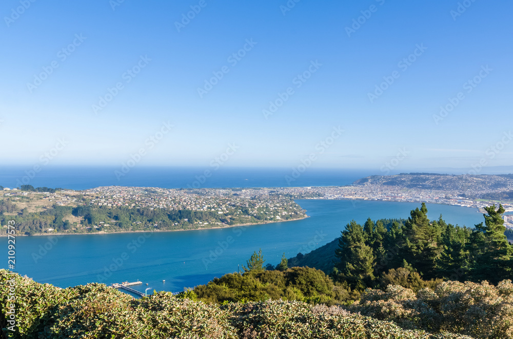 Beautiful cityscape view of the Dunedin in New Zealand. 