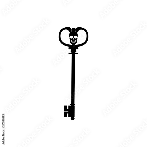 Key skull icon