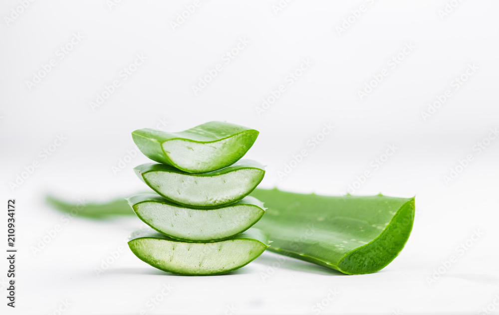 fresh Aloe Vera Stacked in White background fresh Aloe Vera Stacked in White background