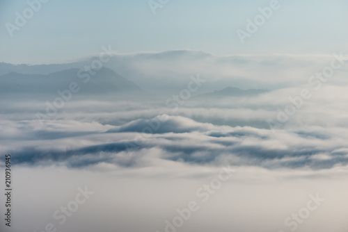 sea of clouds over the forest, Black and white tones in minimalist photography © joesayhello