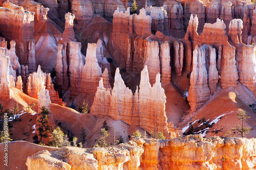 Hoodoos at Bryce Canyon National Park, Utah