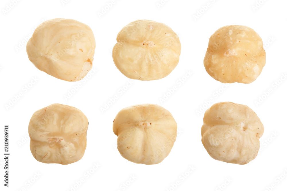 Hazelnut isolated on white background. Set or collection. Top view Hazelnut isolated on white background. Set or collection. Top view