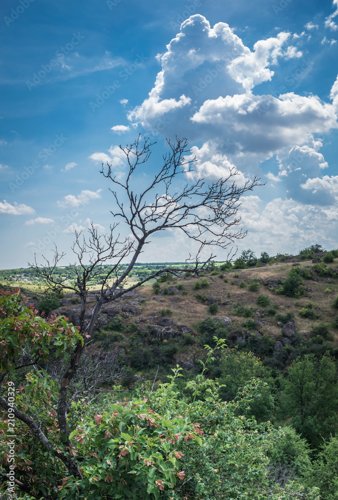 Obraz premium Arbuzinka Rocks in the Actovo canyon, Ukraine