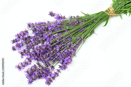 Bunch of fresh purple lavender  top view    Beautiful lavender flowers on a white background