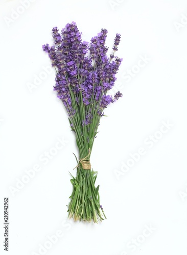 Bunch of fresh purple lavender  top view    Beautiful lavender flowers on a white background