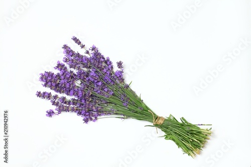 Bunch of fresh purple lavender, top view / Beautiful lavender flowers on a white background