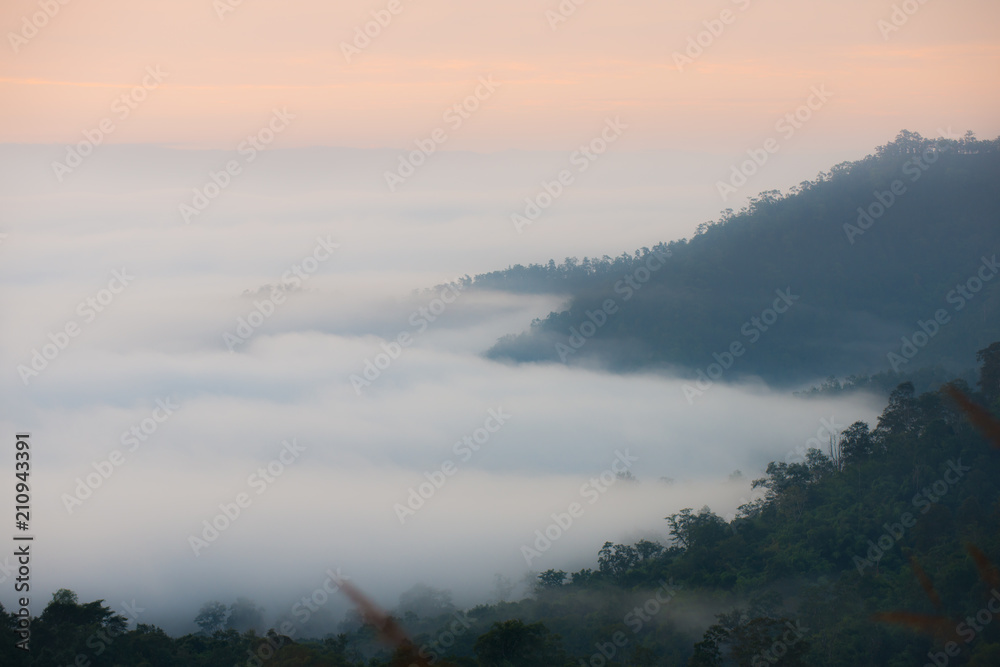Naklejka premium Fog above the forest in minimalist photography
