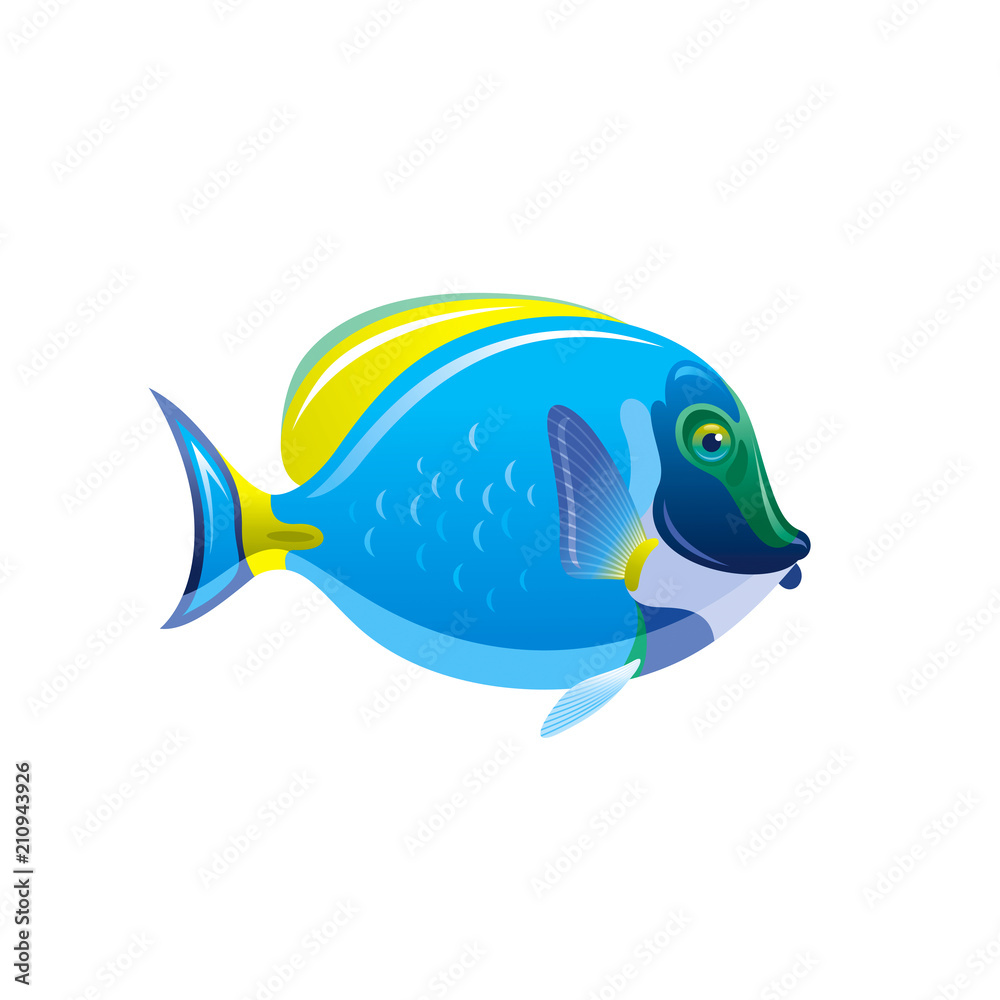 Vector illustration eps10, isolated on white background. Realistic sea  animal symbol, 3d Acanthurus surgeon fish. Tropical underwater aquatic  creatures, cartoon cute icon. Summer travel flat sign. Stock Vector | Adobe  Stock