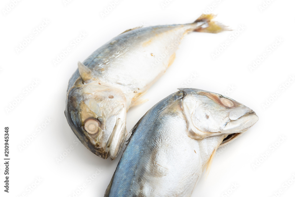 Fresh mackerel on white background. Fresh mackerel on white background.