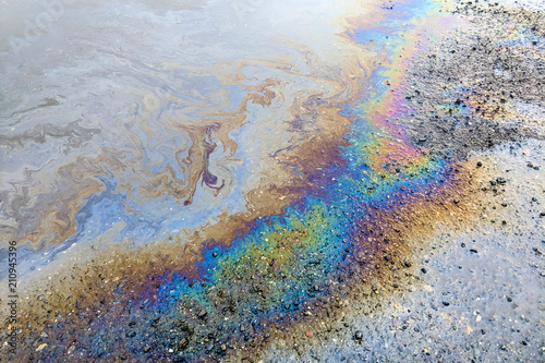 Rainbow colors from an oily sheen on water