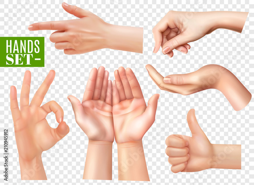 Realistic Hands Set Transparent