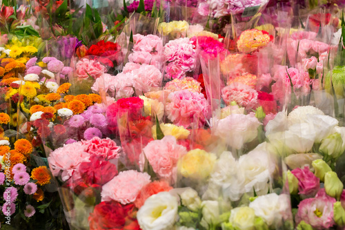 Photography Flowers sold in a variety of colors.