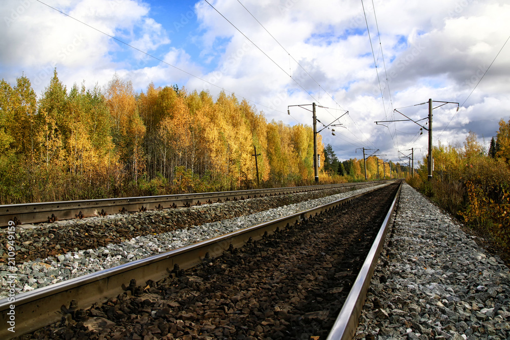 Railway in autumn forest Railway in autumn forest