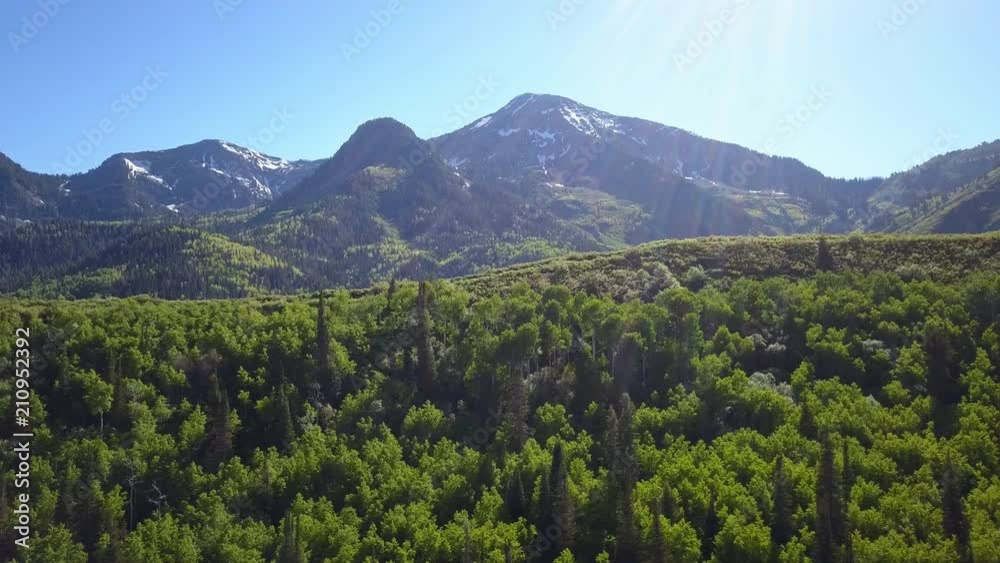 Panning view of mountain forest layers as the sun shines its rays. Panning view of mountain forest layers as the sun shines its rays.