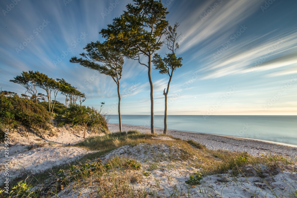 ostseeküste darß