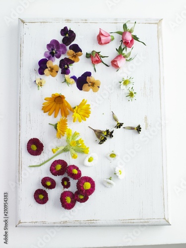 Assorted edible flowers photo