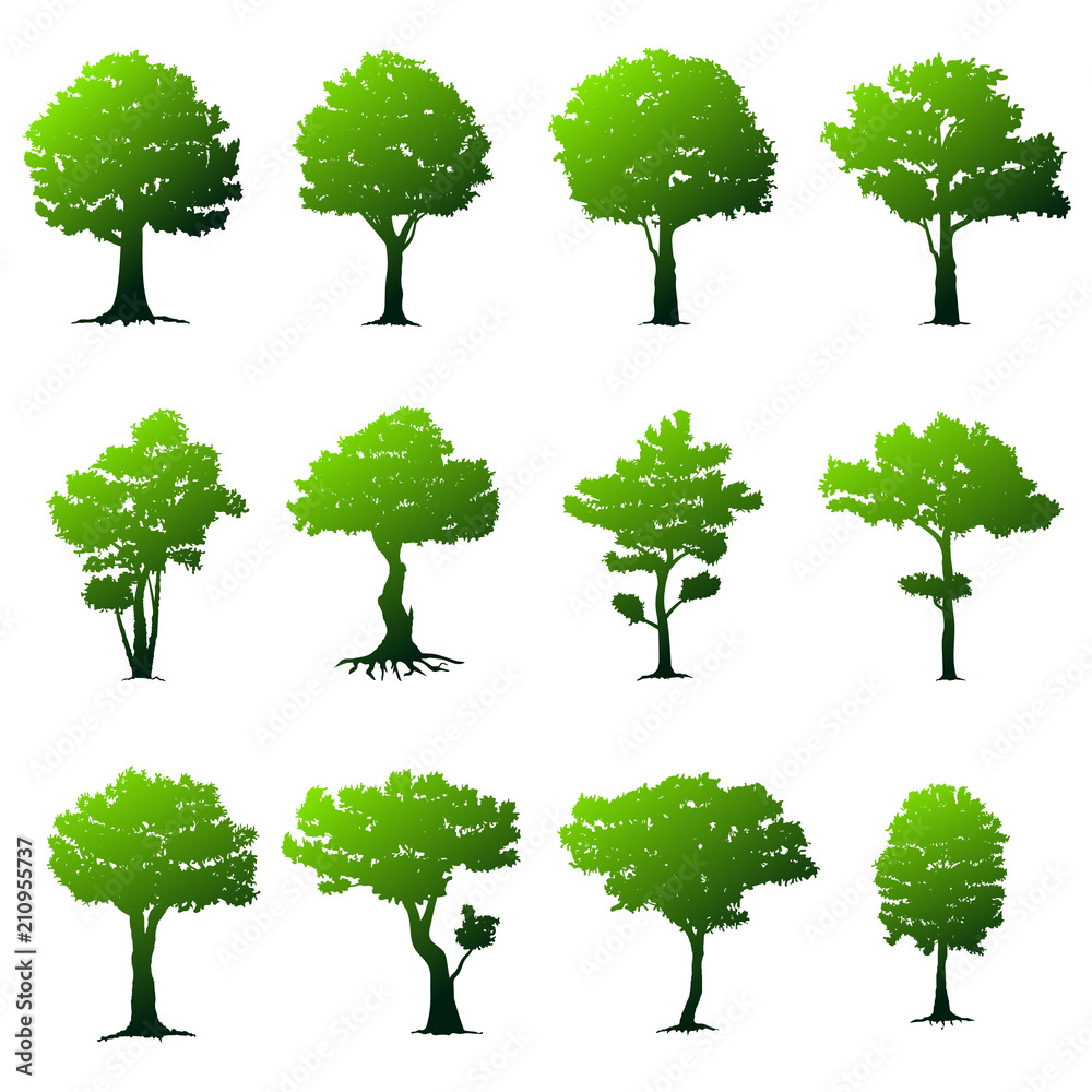 Fototapeta premium Set of trees