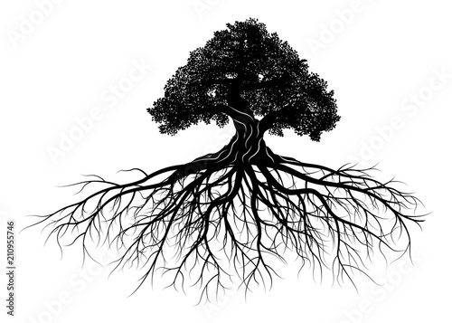 tree silhouette