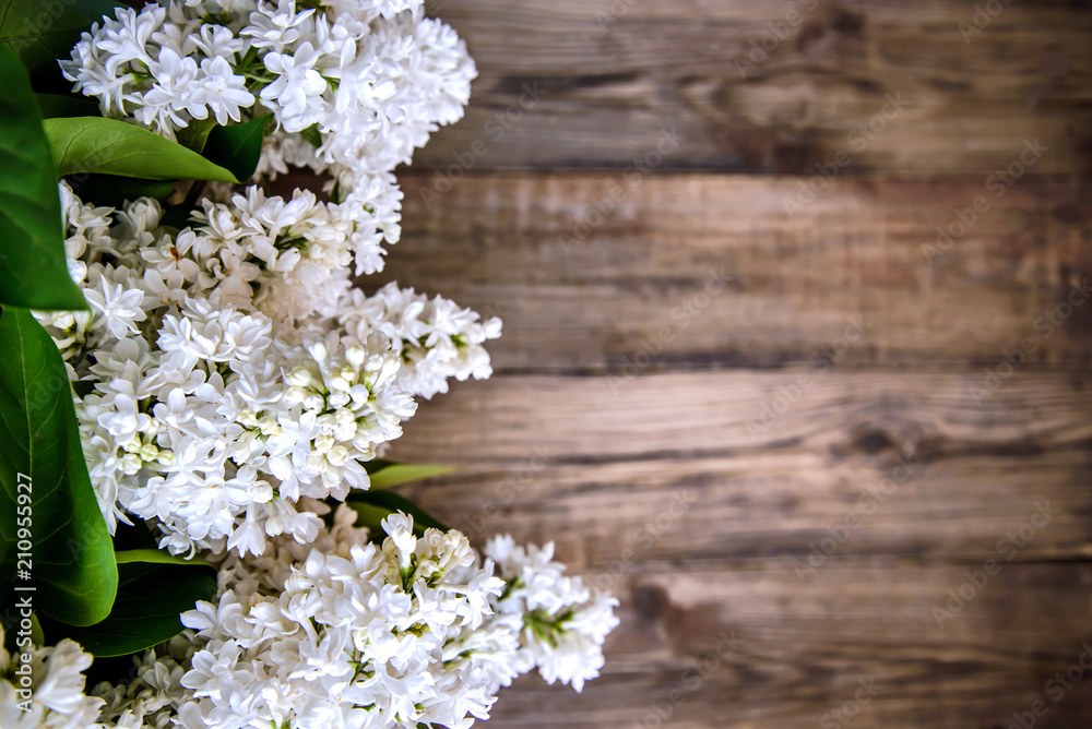 White lilac on wooden background White lilac on wooden background
