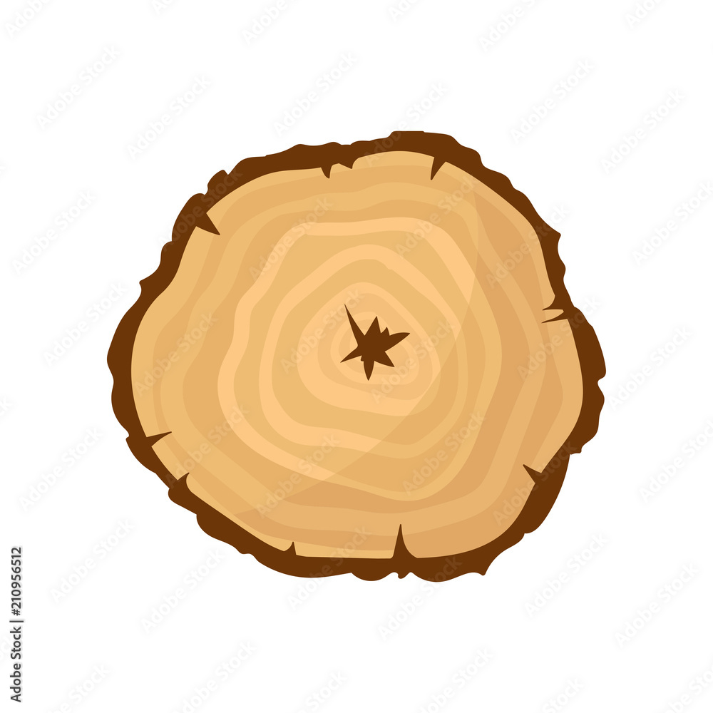 Cross section of tree trunk with annual growth rings. Natural texture, organic material. Flat vector icon Cross section of tree trunk with annual growth rings. Natural texture, organic material. Flat vector icon