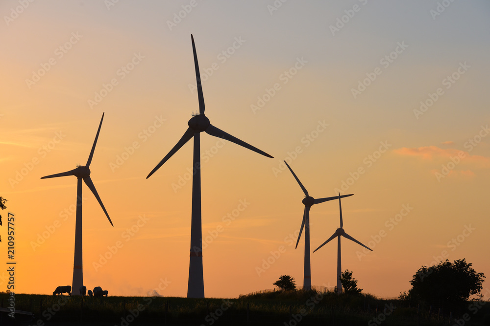 éoliennes vent energie ciel vert ecologie éoliennes vent energie ciel vert ecologie
