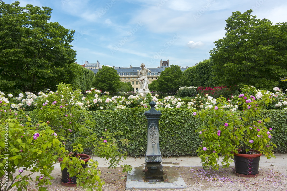 Palais Royal garden, Paris, France