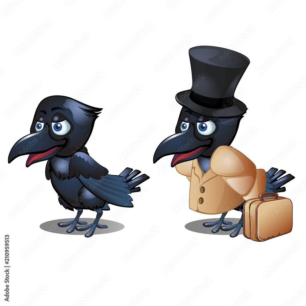 Φωτογραφία The Raven in the clothing with suitcase and hat cylinder isolated on white background