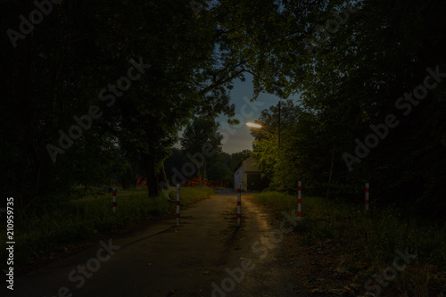 Fototapeta Naklejka Na Ścianę i Meble -  straße in dunkler nacht mit laterne und bäumen