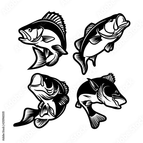 set of big bass fish illustration for fishing logo. Fisherman logo. Fishing logo