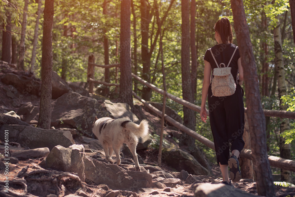 Obraz premium Girl walking along the rocky woods with the dog. Back view