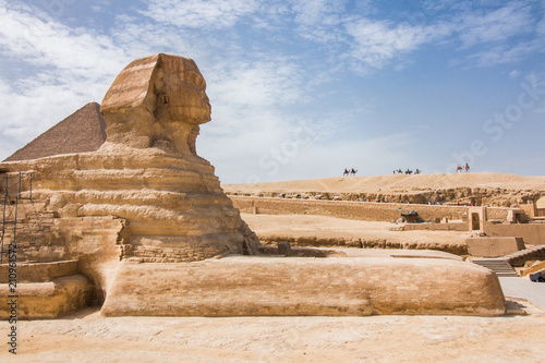 The Great Sphinx of Giza closeup from the side with camels in the background.