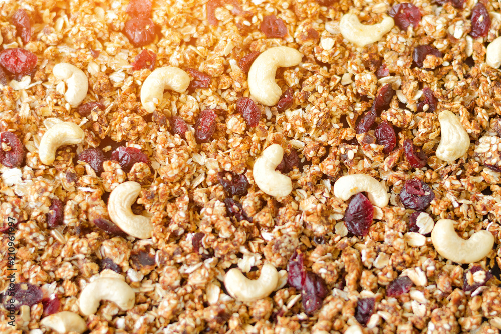 Homemade granola with cashews and cranberries. Filling background Homemade granola with cashews and cranberries. Filling background